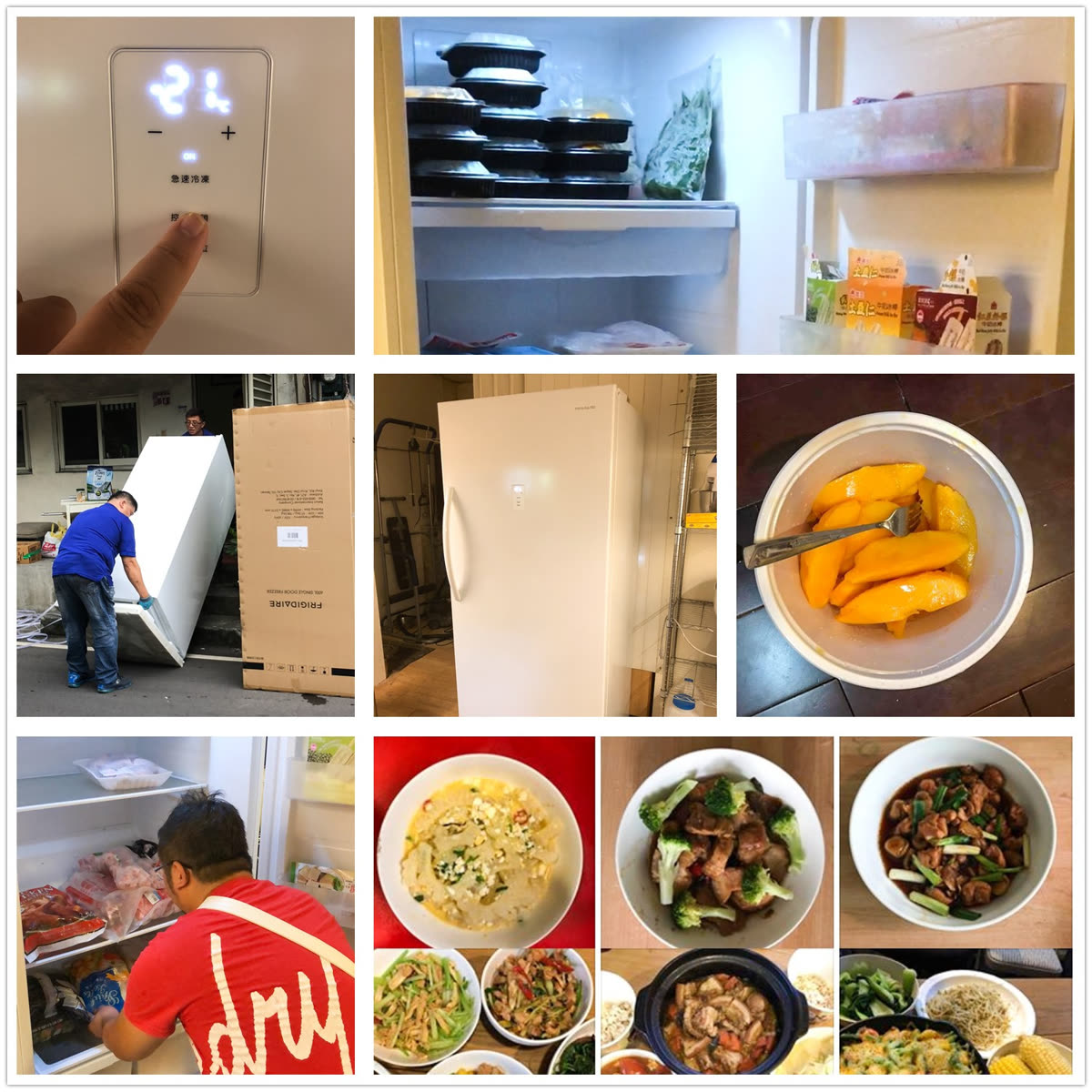 美國Frigidaire富及第 600L立式無霜冷凍櫃@冷凍櫃推薦 負21度新冷凍主義