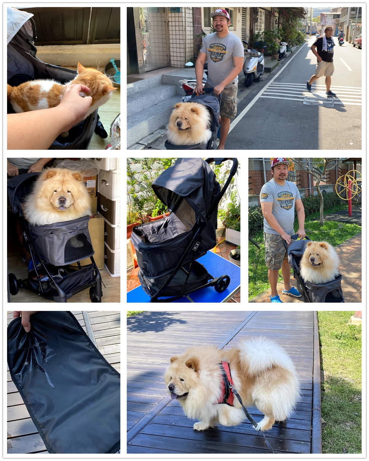 [韓國bonilen輕便寵物推車Pet5推薦] 新世代精品寵物推車 鬆獅犬堡堡體驗全紀錄