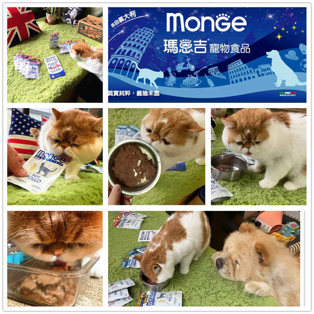 [開箱] MONGE瑪恩吉 貓用寵糧